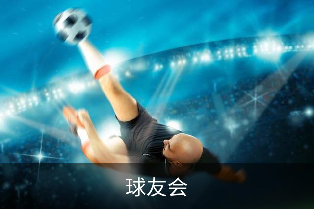 球友会公司介绍